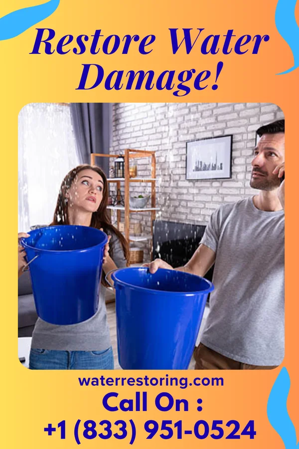 water restoration Reliable Flood Mitigation Professionals Big Lake