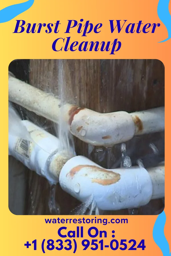 Burst Pipe Water Cleanup in Big Lake, MO