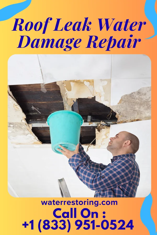 Roof Leak Water Damage Repair in Big Lake, MO