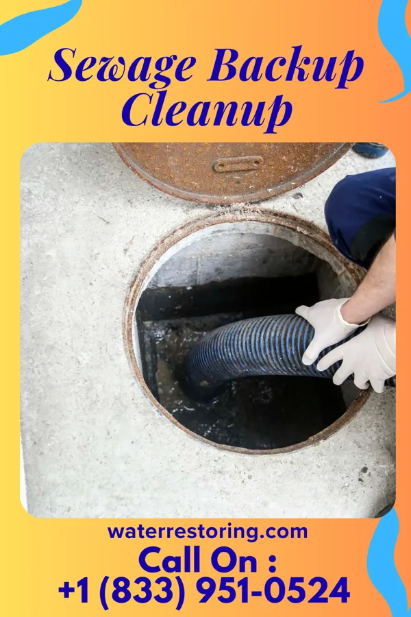 Sewage Backup Cleanup in Big Lake, MO