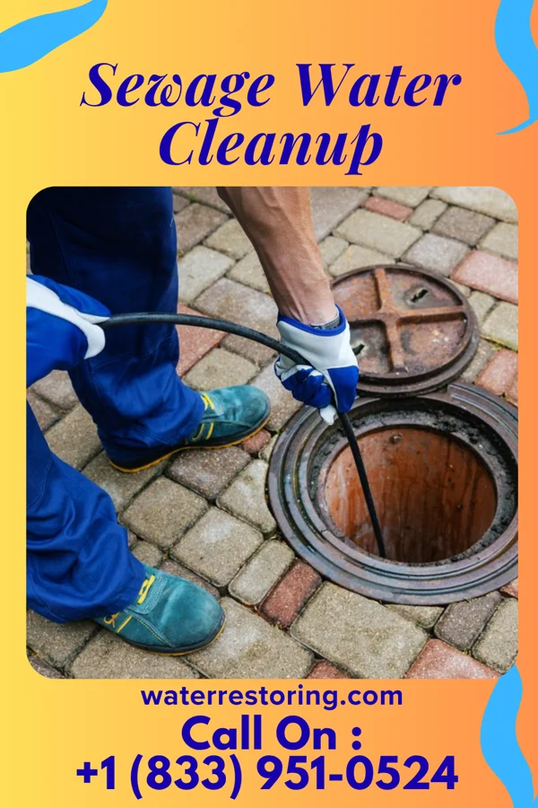 Sewage Water Cleanup in Big Lake, MO