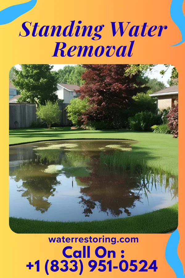 Standing Water Removal in Big Lake, MO